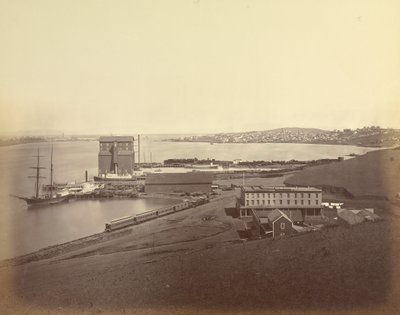 [サウス・ヴァレホから見たヴァレホ市] 作： Carleton Watkins