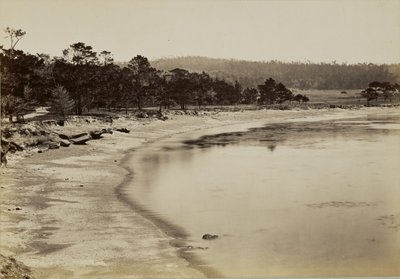  作： Carleton Watkins