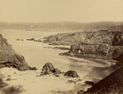 [メンドシーノの海岸の眺め］ 作： Carleton Watkins