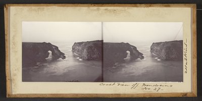 メンドシノ沖のコーストビュー 作： Carleton Watkins