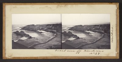 メンドシノ沖のコーストビュー 作： Carleton Watkins