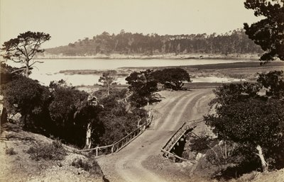 [モントレー近郊の海岸］ 作： Carleton Watkins