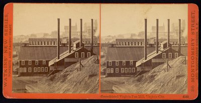 バージニアシティの統合バージニアパンミル 作： Carleton Watkins