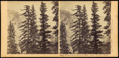 サウスフォークからのハーフドームとヴァーナル滝 作： Carleton Watkins
