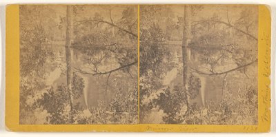 [カリフォルニア州マリポサ郡、ヨセミテ渓谷、鏡の眺め]。 作： Carleton Watkins