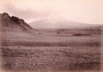 [マウント・シャスタ］ 作： Carleton Watkins