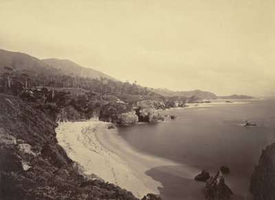 [パシフィック・コースト・ビュー] / [ギブソン・ビーチ、白砂青松、モントレー海岸］ 作： Carleton Watkins