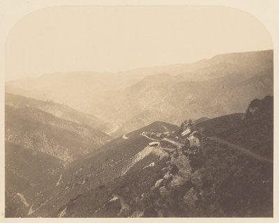 [パインツリー鉱山］ 作： Carleton Watkins