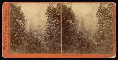 ポホノ、またはブライダルベール、900フィート、マリポサ郡、カリフォルニア州 作： Carleton Watkins