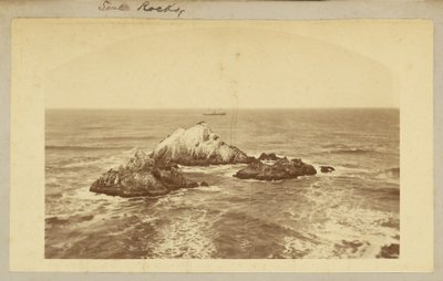 シールロックス 作： Carleton Watkins