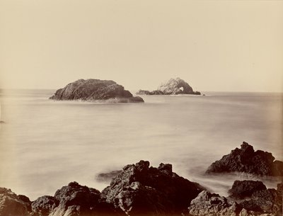 [岬から見たシール・ロックス] 作： Carleton Watkins