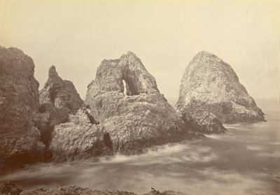 [フィッシャーマンズ・ベイのシュガーローフ諸島、ファラロン諸島]。 作： Carleton Watkins