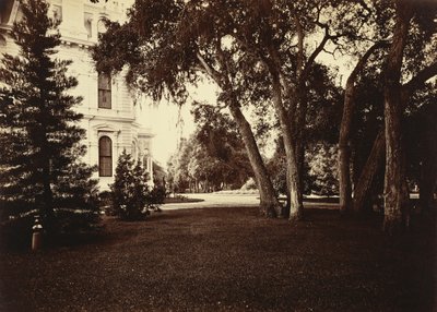 [サーロウ・ロッジ 芝生と家 バロン・クラスターより］ 作： Carleton Watkins
