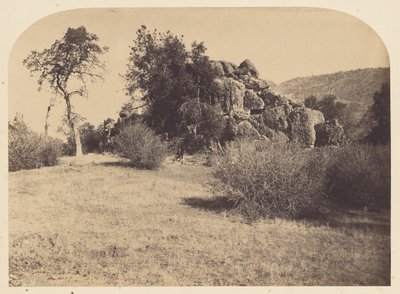 [タワーロック - ノースビュー］ 作： Carleton Watkins