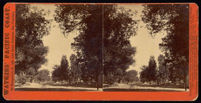 カリフォルニア州サンガブリエルの並木道のストリートビュー 作： Carleton Watkins