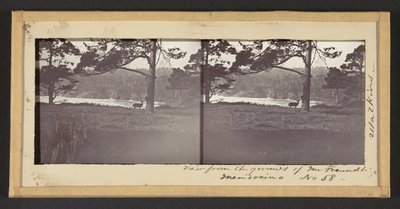 メンドシノのフロイント氏の敷地からの眺め 作： Carleton Watkins