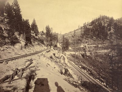 タホ湖の眺め 作： Carleton Watkins