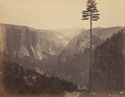 最高の概観から見たヨセミテバレー 作： Carleton Watkins