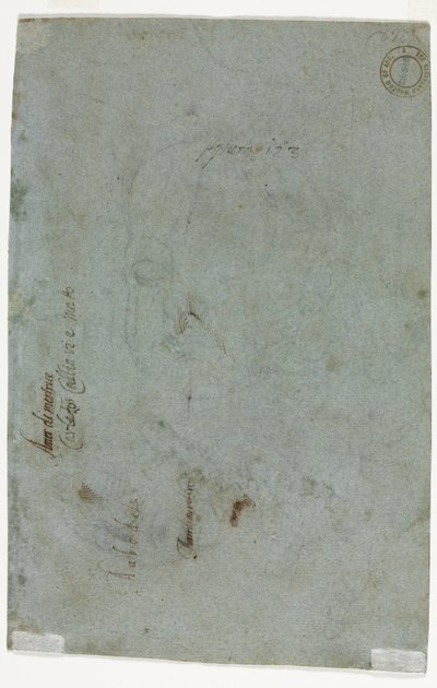 子供の頭のスケッチ (裏面) 作： Carletto Caliari