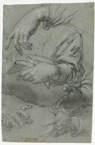 手の研究 (直腸) 作： Carletto Caliari