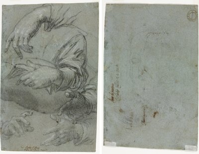 手の研究 (直腸); 子供の頭のスケッチ (裏面) 作： Carletto Caliari