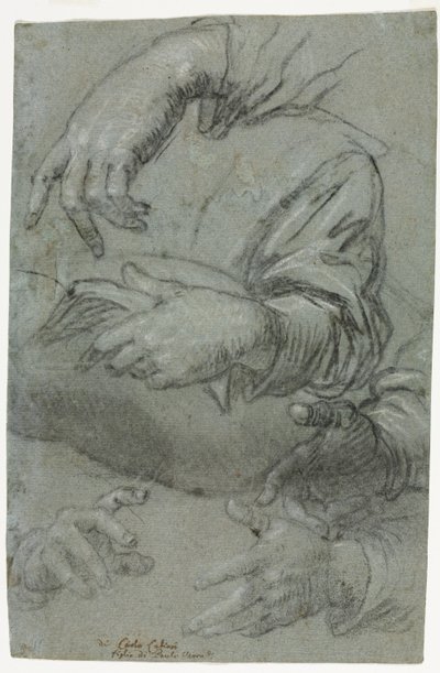 手の研究、子供の頭のスケッチ、c。 1586年。 作： Carletto Caliari