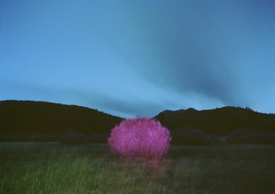 ペインティング・イン・ザ・ダーク、2015 作： Carli Choi