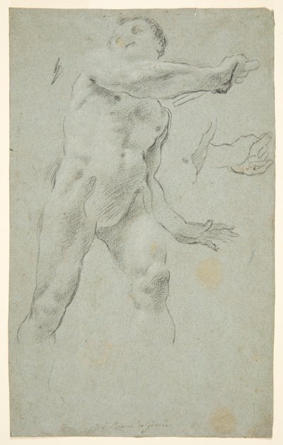 男性ヌード 作： Carlo Bononi