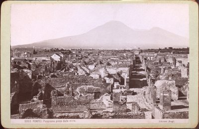 ポンペイのパノラマ、1880年頃（写真） 作： Carlo Brogi