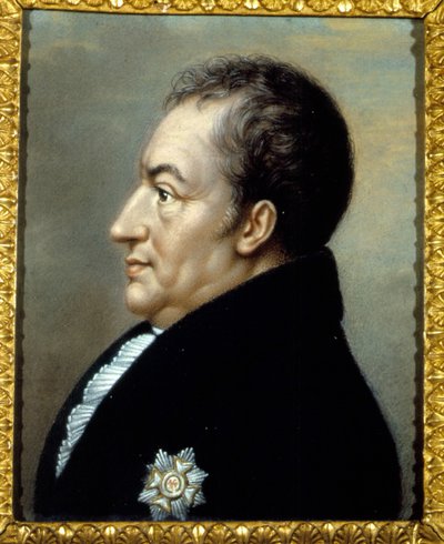 カルロ・ブルーニによるヨハン・ヴォルフガング・フォン・ゲーテ(1749-1832)の肖像。19世紀。ヴィゴーニ荘。カム湖。イタリア 作： Carlo Bruni