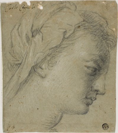右横顔の女性頭部 作： Carlo Cignani