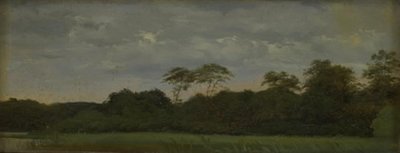 森の湖のほとりの牧草地 作： Carlo Dalgas