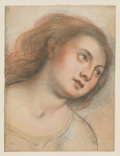 女性の頭のための研究 (裏面); キリストの頭 (直腸) 作： Carlo Francesco Nuvolone