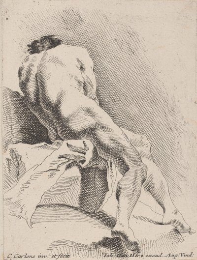 後ろから見たアカデミックスタディ、1725-75。 作： Carlo Innocenzo Carloni