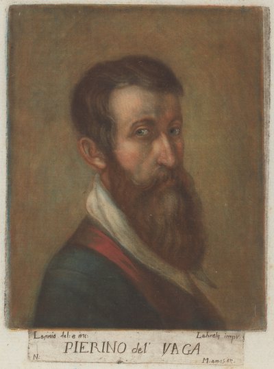 ピエリーノ デル ヴァーガ、1789 年。 作： Carlo Lasinio