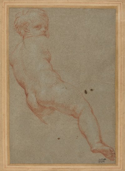 少年の研究 作： Carlo Maratta