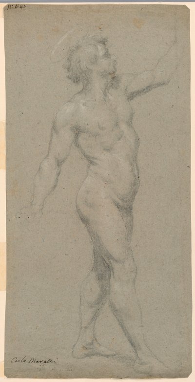 男性ヌードの研究 作： Carlo Maratti