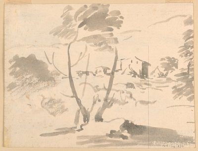 素描、風景の中の樹木のスケッチ、1760-1780年 作： カルロ・マルキオーニ