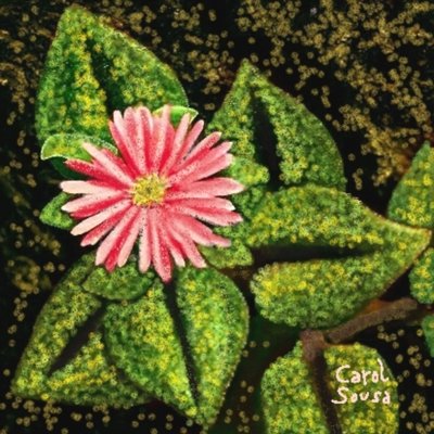 フロール・シルベストレ 作： Carol Sousa Cuello