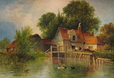 「メープルダラム」、c1863、1938 作： Caroline Fanny Williams