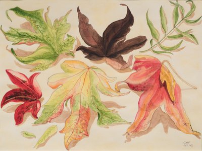 秋の紅葉、1993（紙にトイレ） 作： Carolyn Hubbard Ford