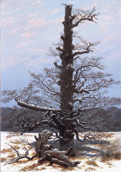 ドイツ語：Eichbaum im Schnee 雪の中のオークツリー 作： カスパー・デイビッド・フリードリッヒ