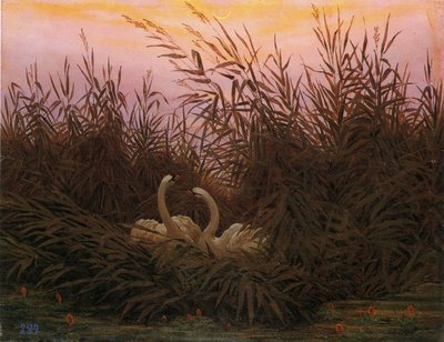 ドイツ語：Schwäne im Schilf beim ersten Morgenrot 最初の夜明けに葦の中の白鳥たち 作： Caspar David Friedrich