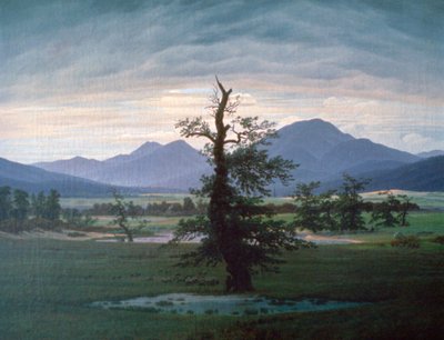 孤独な木、1823 作： Caspar David Friedrich