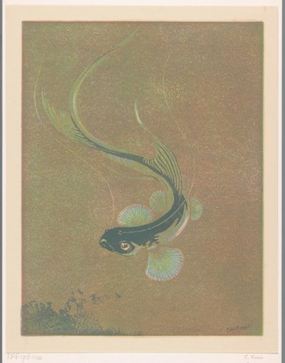 泳ぐ魚 泳ぐ魚（原題） 作： Casper M.L. Kouw (signed by artist)