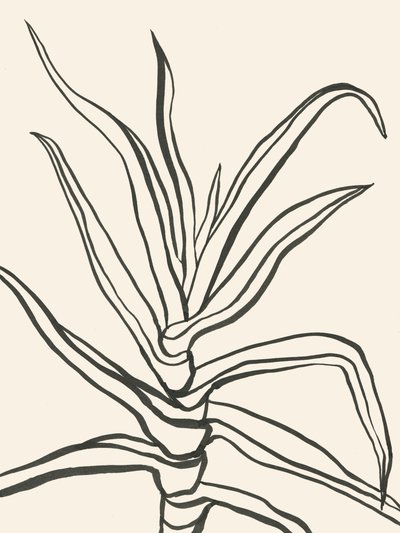 ミニマルな植物の輪郭 作： Catalina Somolinos