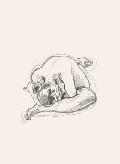 静かな、丸まった姿 作： Catalina Somolinos