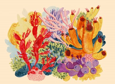 色鮮やかなサンゴ礁 作： Catalina Somolinos