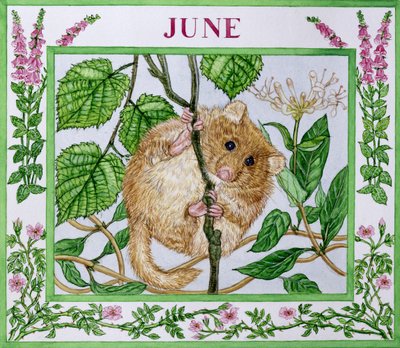 6月（紙にトイレ） 作： Catherine Bradbury