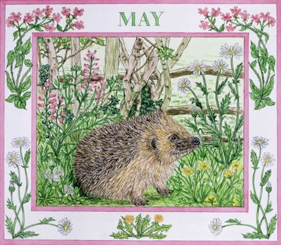 5月（紙にトイレ） 作： Catherine Bradbury